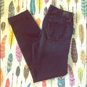 Level 99 Lily Crop Size 28 VGUC